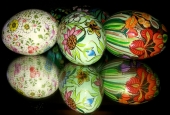 IIP Online Student Photography